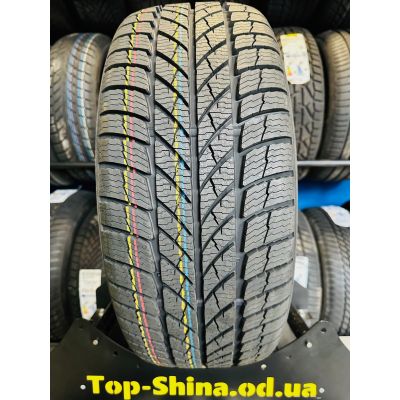 Шины Paxaro Inverno 215/50 R17 95V XL