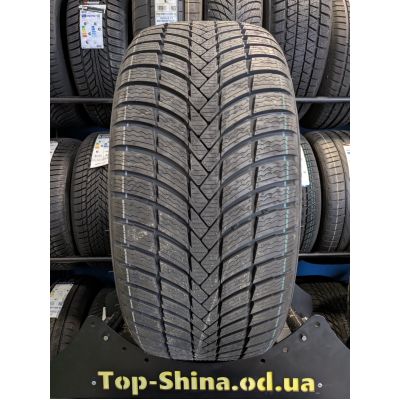Шини Triangle EffeXWinter TW421 255/50 R20 109V XL