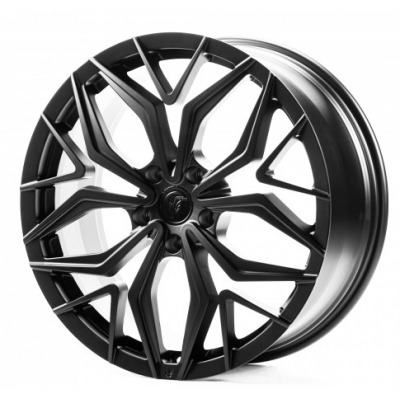 Диски WS FORGED WS-055C satin black