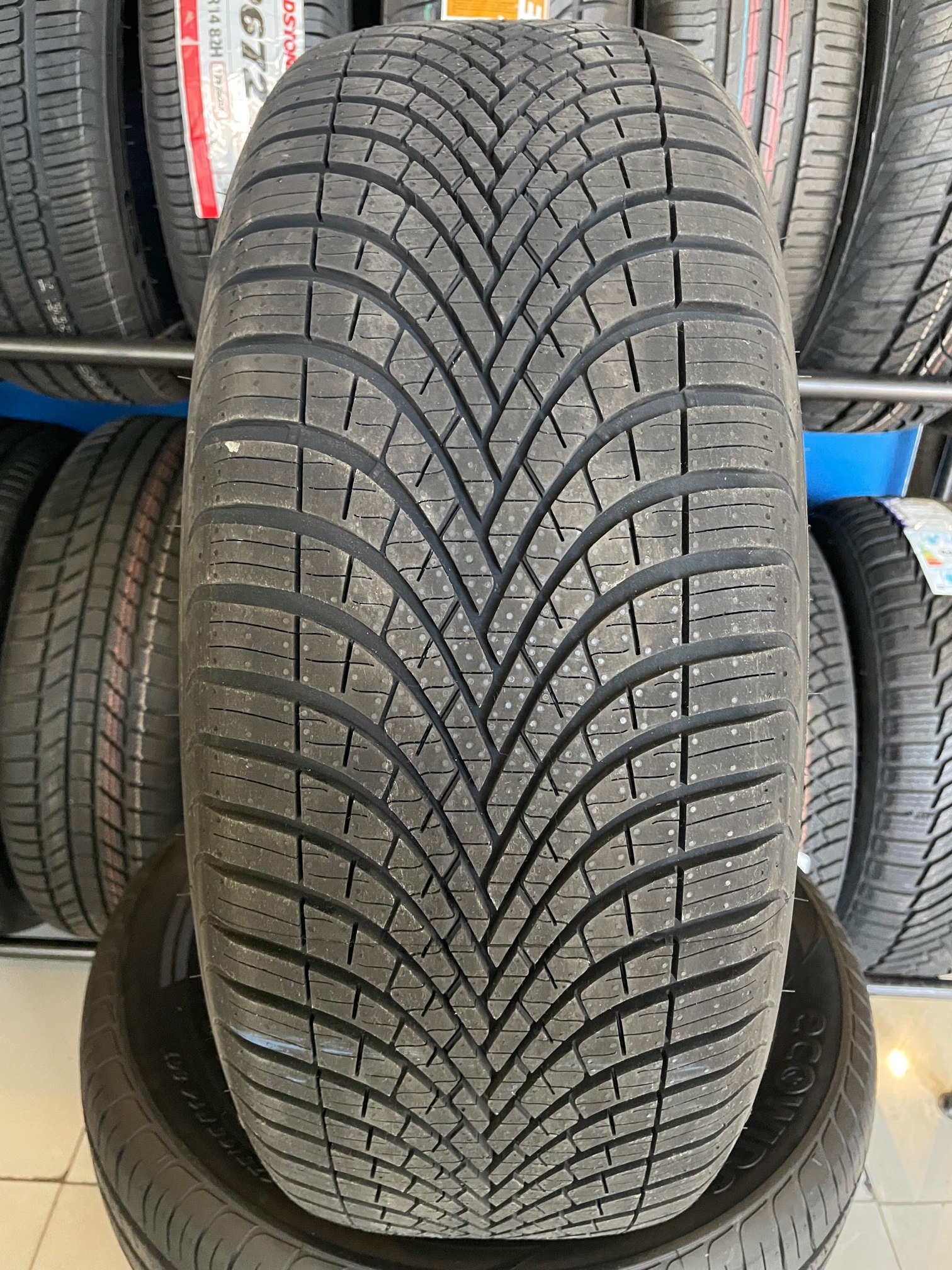 Шины Sava All Weather 175/65 R14 82T ᐈ купить в Одессе